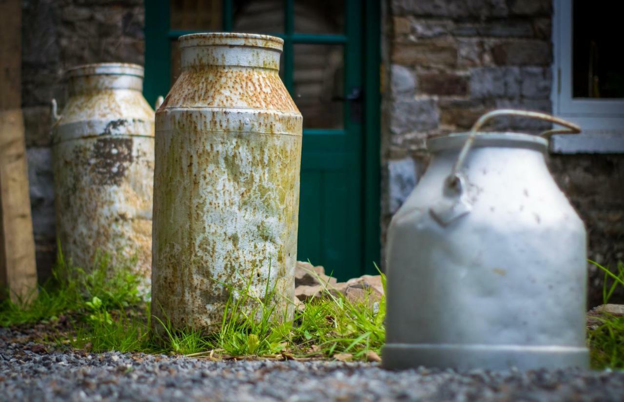 Pontyclerc Farm House Bed And Breakfast Ammanford Eksteriør bilde